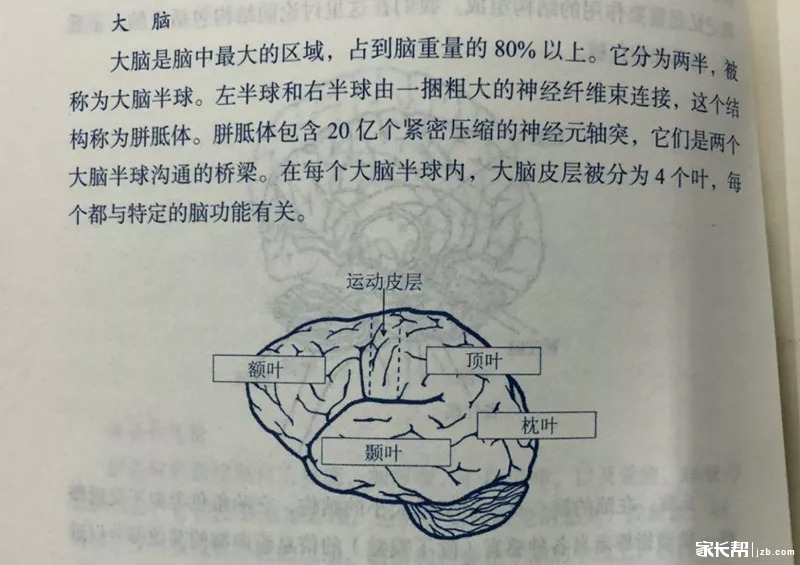 微信图片_20180831100736.jpg