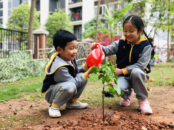 种下小树苗，来年一定要跟我一样高哦。拍摄：谢石凤.jpg